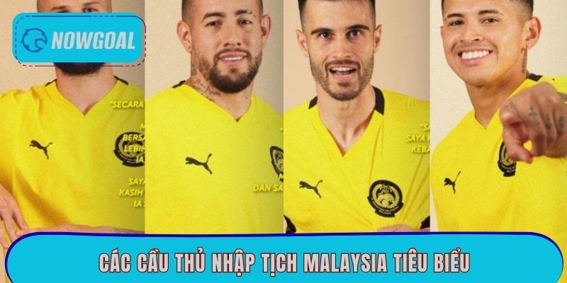Các cầu thủ nhập tịch Malaysia tiêu biểu