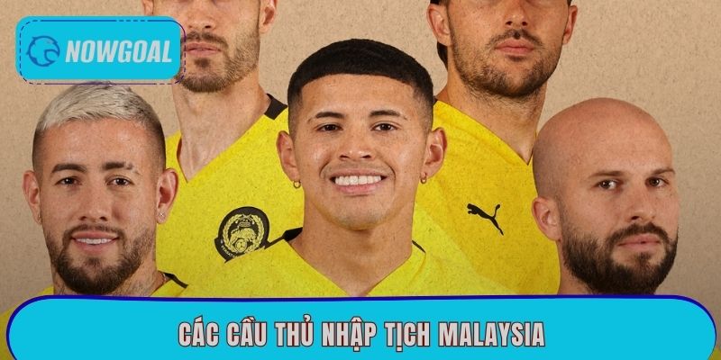 Các Cầu Thủ Nhập Tịch Malaysia – Chính Sách Bóng Đá
