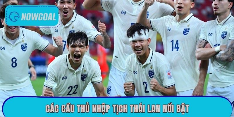 Giới thiệu về các cầu thủ nhập tịch Thái Lan