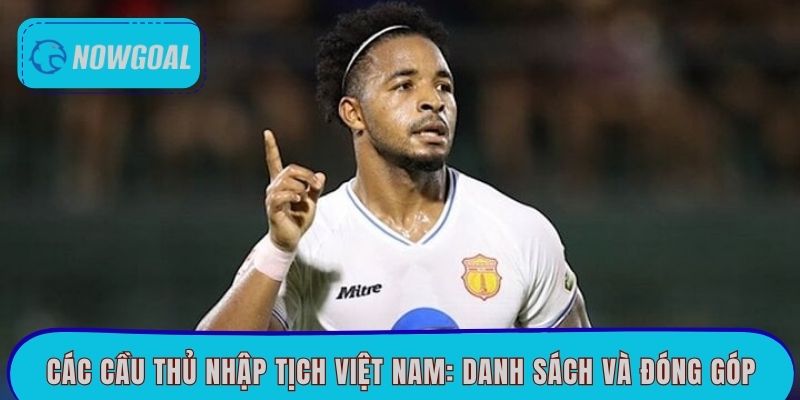 Các Cầu Thủ Nhập Tịch Việt Nam: Danh Sách Và Đóng Góp