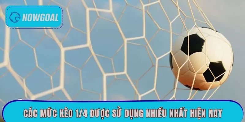 Các mức kèo 1/4 được sử dụng nhiều nhất hiện nay