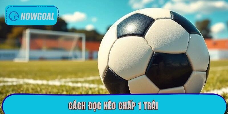 Cách Đọc Kèo Chấp 1 Trái – Mẹo Cược Bất Bại Tại Nowgoal
