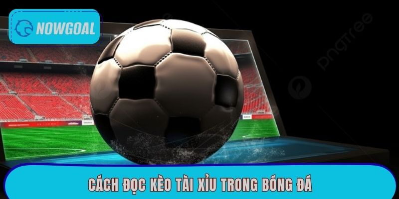 Cách Đọc Kèo Tài Xỉu Trong Bóng Đá Đơn Giản Tại Nowgoal