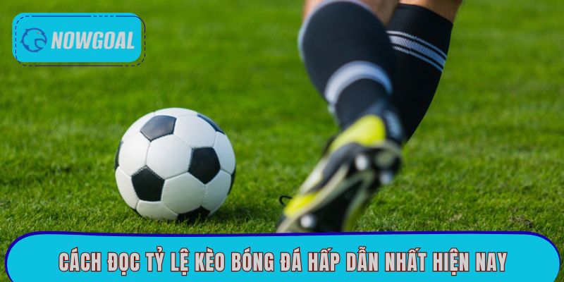 Cách đọc tỷ lệ kèo bóng đá hấp dẫn nhất hiện 