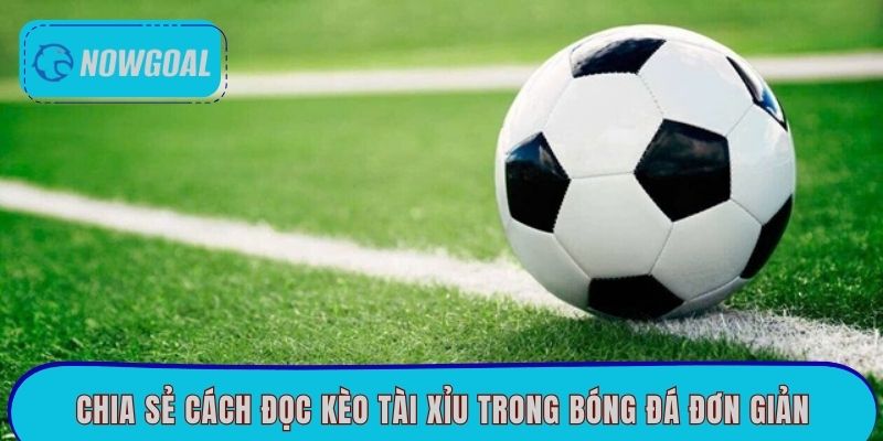 Chia sẻ cách đọc kèo Tài Xỉu trong bóng đá đơn giản