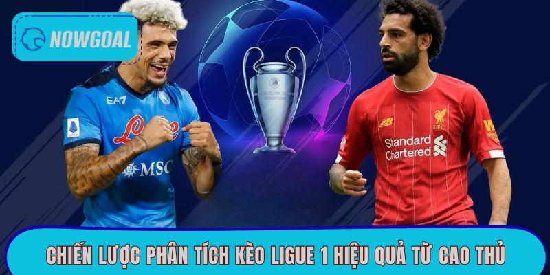 Chiến lược phân tích kèo Ligue 1 hiệu quả từ cao thủ
