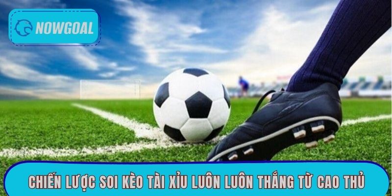 Chiến lược soi kèo tài xỉu luôn luôn thắng từ cao thủ