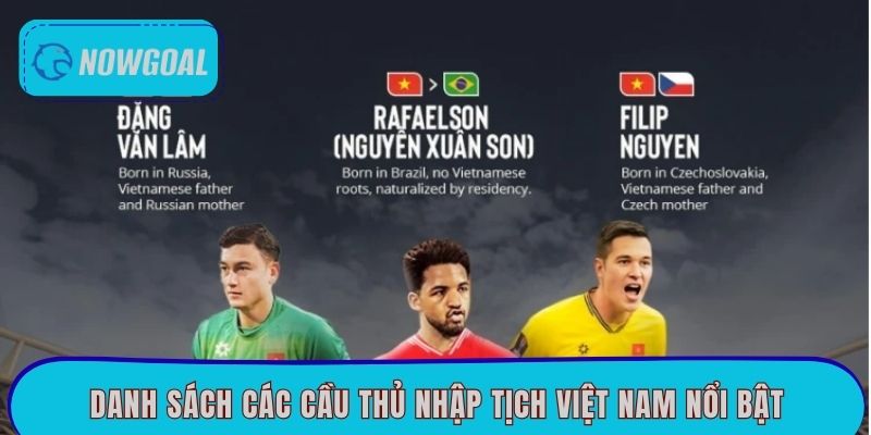 Danh sách các cầu thủ nhập tịch Việt Nam nổi bật