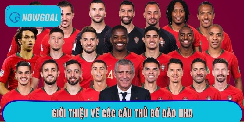 Giới thiệu về các cầu thủ Bồ Đào Nha