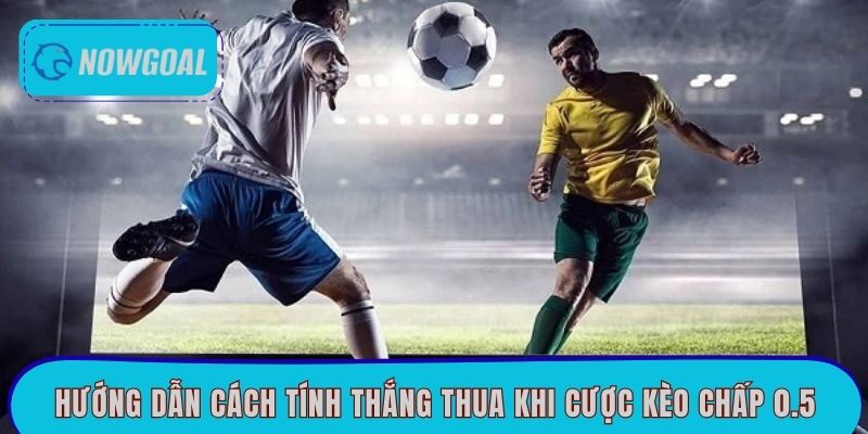 Hướng dẫn cách tính thắng thua khi cược kèo chấp 0.5