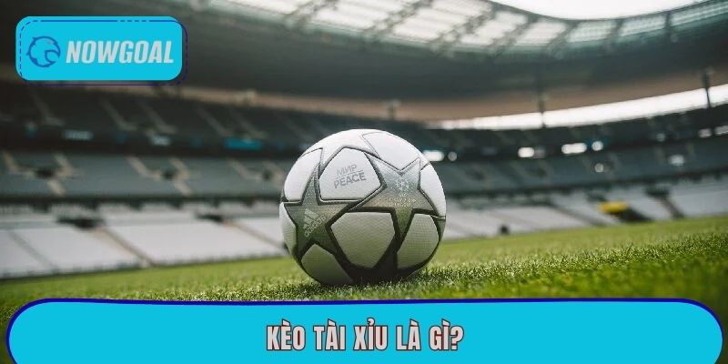 Kèo Tài Xỉu Là Gì? Cách Đọc Kèo Dễ Hiểu Tại Nowgoal