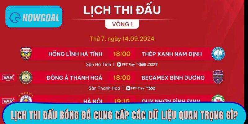 Lịch thi đấu bóng đá cung cấp các dữ liệu quan trọng gì?