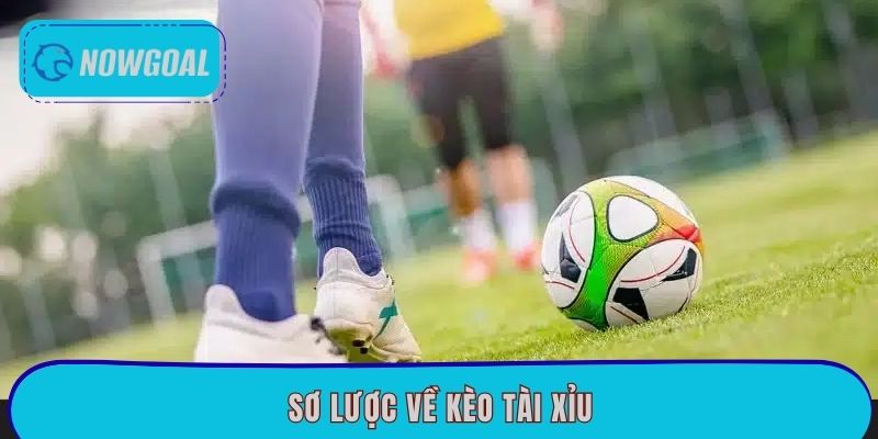 Sơ lược về kèo Tài Xỉu
