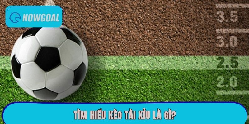 Tìm hiểu kèo tài xỉu là gì?