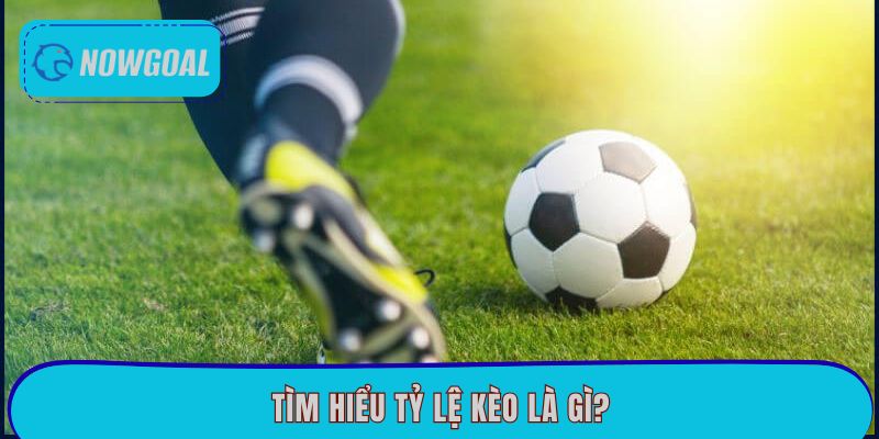 Tìm hiểu tỷ lệ kèo là gì?